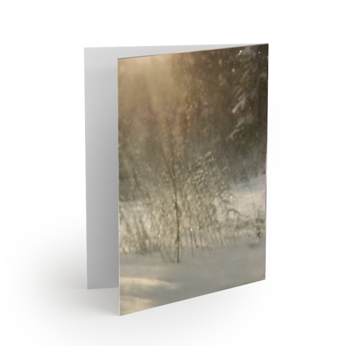Christmas Chicken Greeting Cards (8, 16, and 24 pcs)